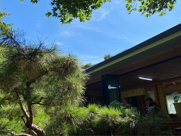 단양홍가네펜션 이미지