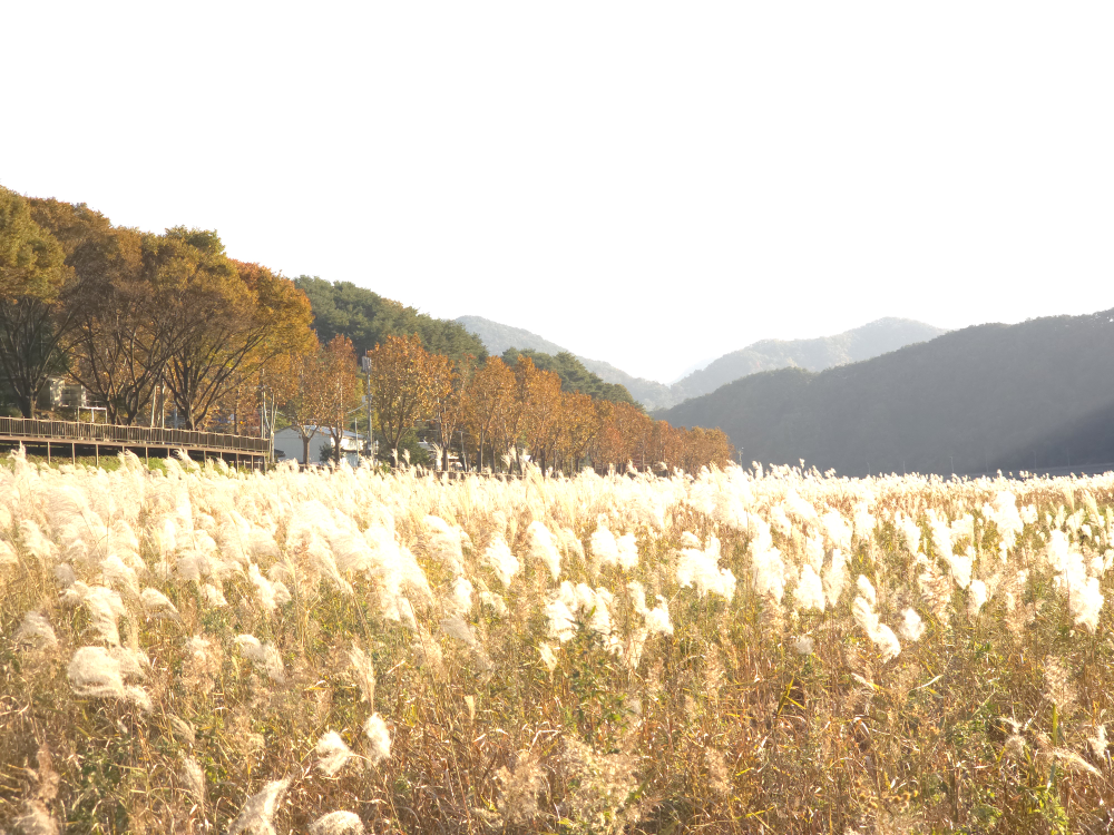 보리곳간 이미지