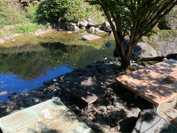 단양홍가네펜션 이미지