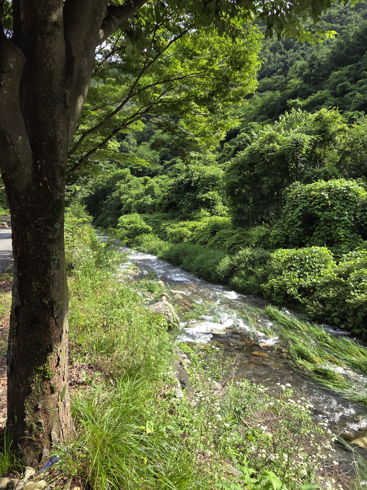 더블유빌리지 이미지