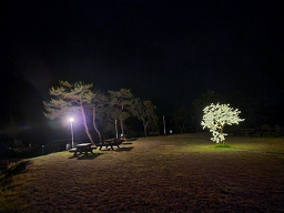 마린힐캠핑장 이미지