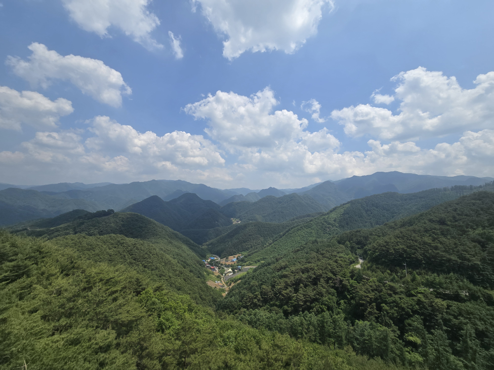 소백산자연휴양림 전망대 이미지