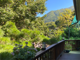 단양홍가네펜션 이미지