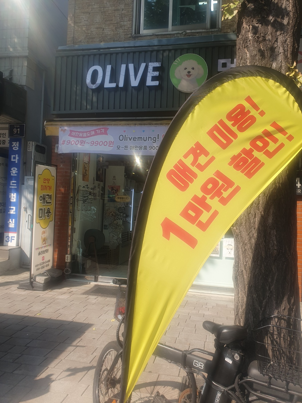 올리브멍