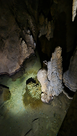 고수동굴 이미지