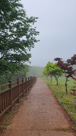 소백산자연휴양림 이미지