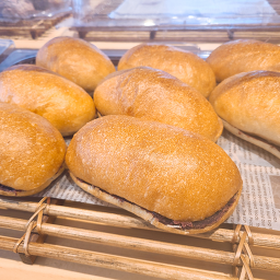 하이단양 하이디 이미지