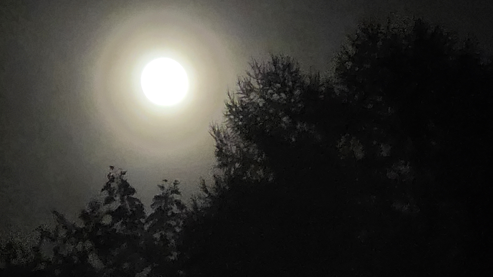 가고픈흙집 이미지