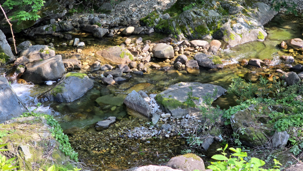 금강식당 이미지