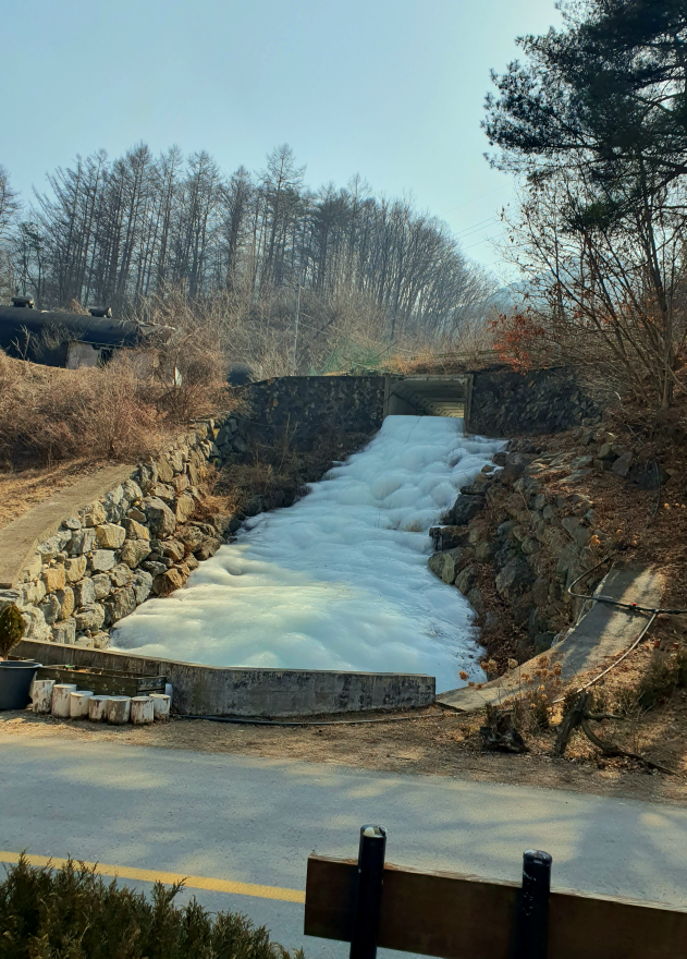 오그란이단팥빵 이미지