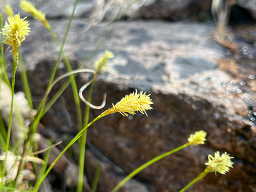 선암계곡 이미지
