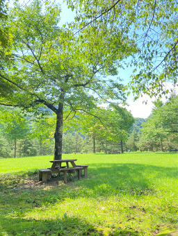 다리안관광지 오토캠핑장 이미지