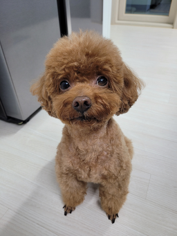 라떼멍살롱