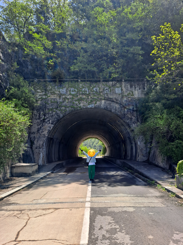 도담삼봉 이미지