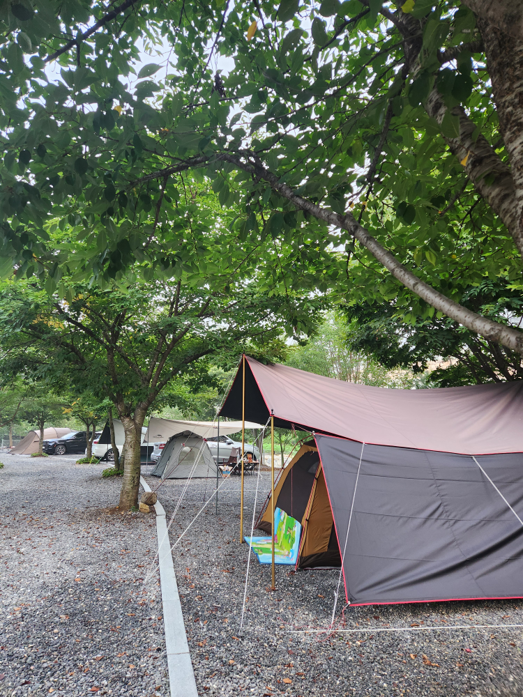 한스빌리지캠핑장 이미지