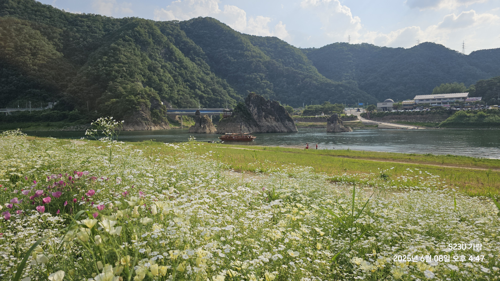 도담정원 이미지