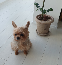 오늘은 꽃단장