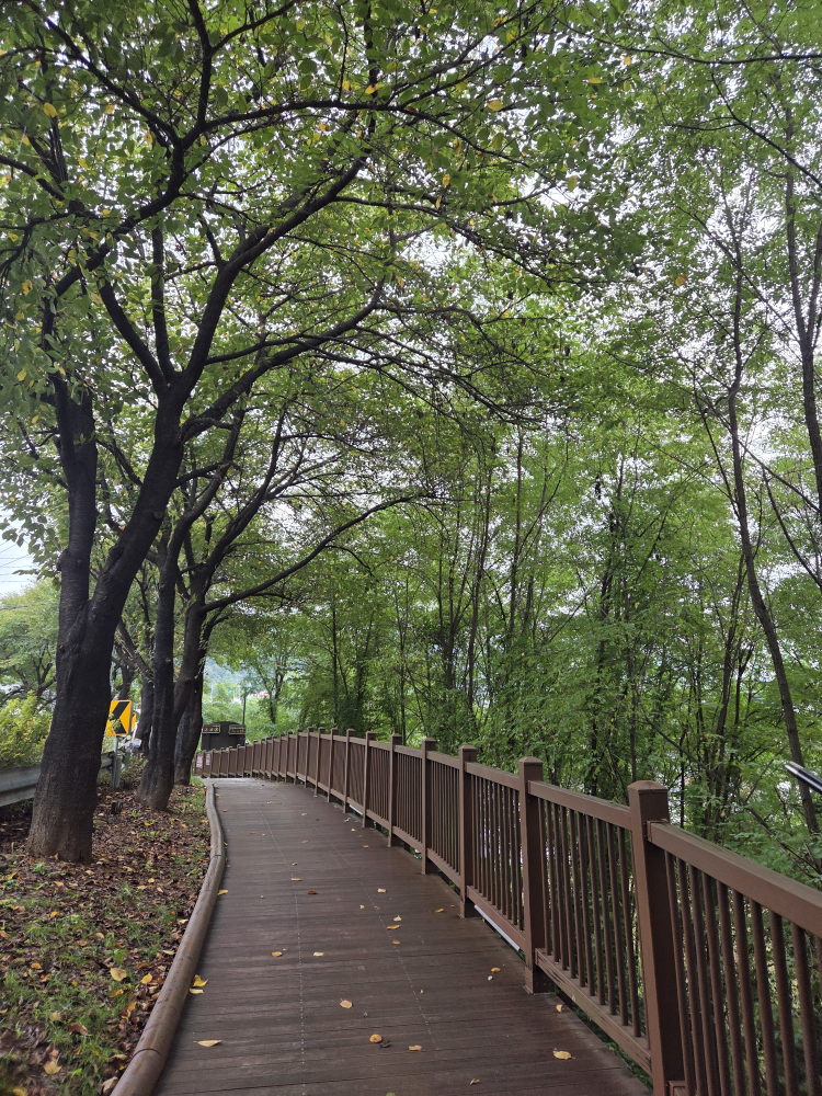 단양강잔도 이미지