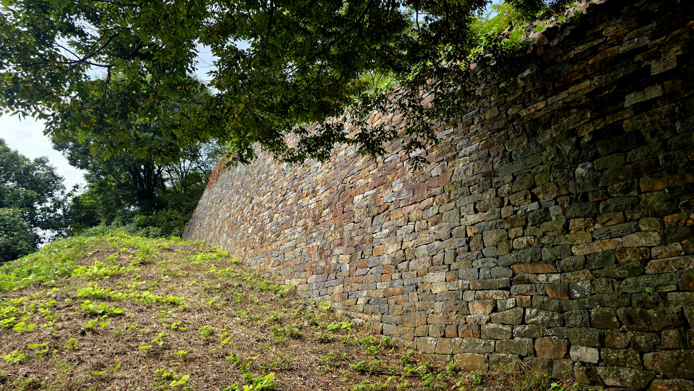 단양 신라 적성비 이미지