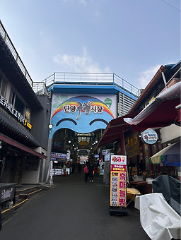 단양회수산 이미지