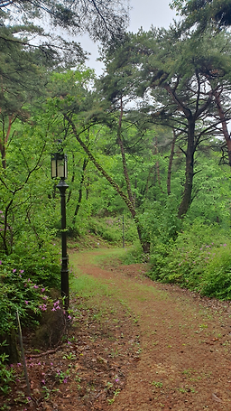 소백산자연휴양림 이미지