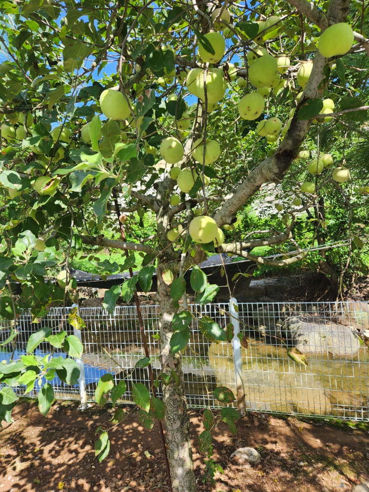 한스빌리지캠핑장 이미지