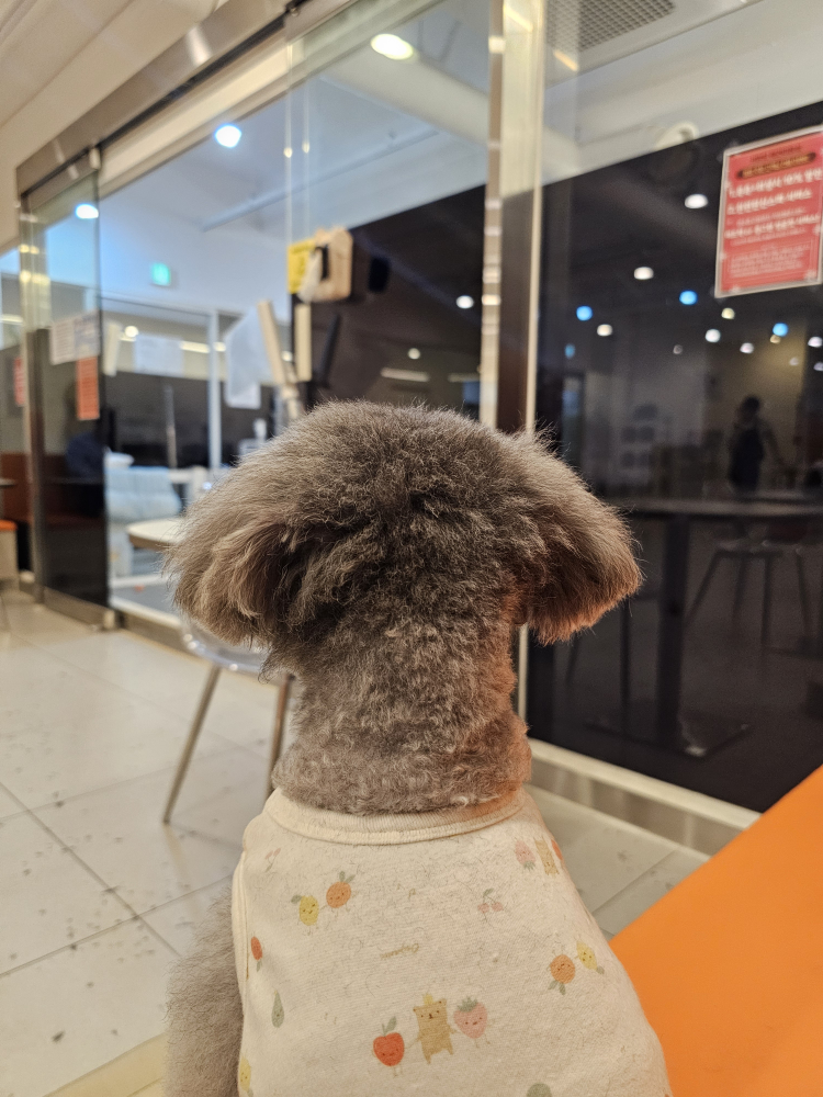 커멍요