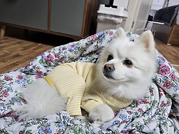 살롱드미미즈