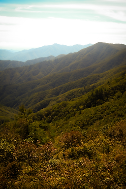 소백산국립공원 이미지