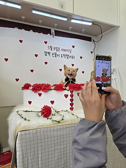 뽀득냥