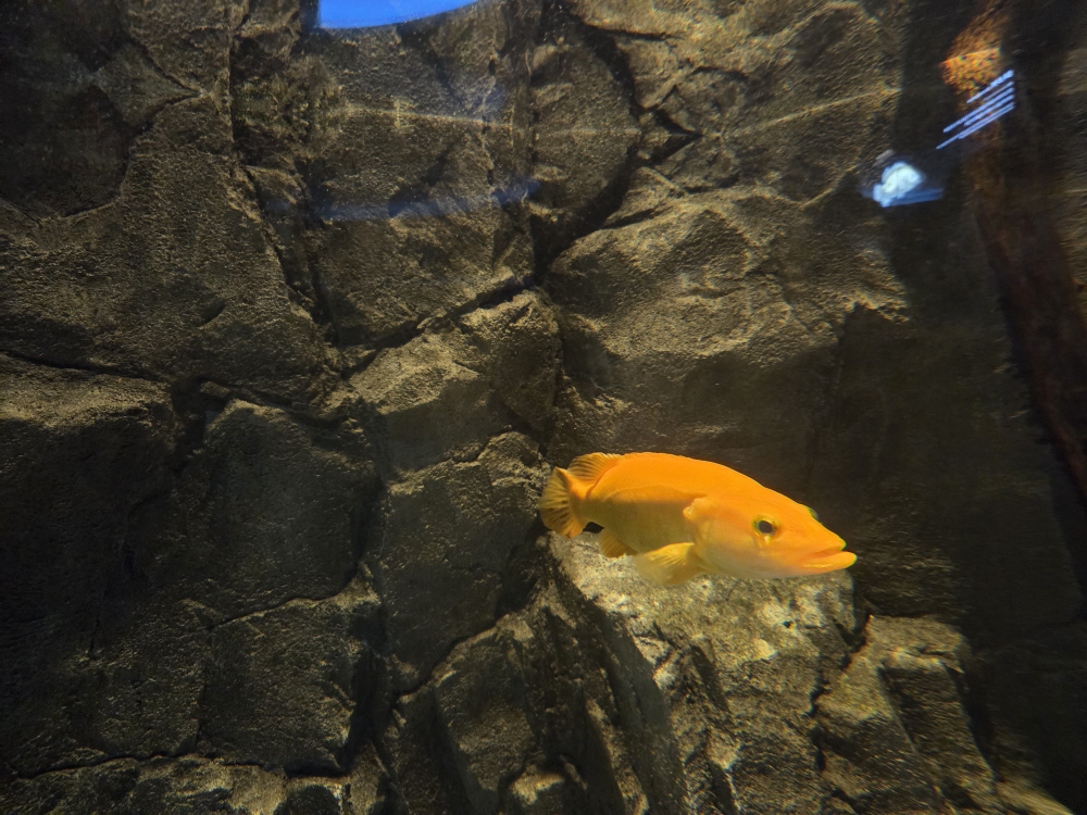 다누리아쿠아리움 이미지