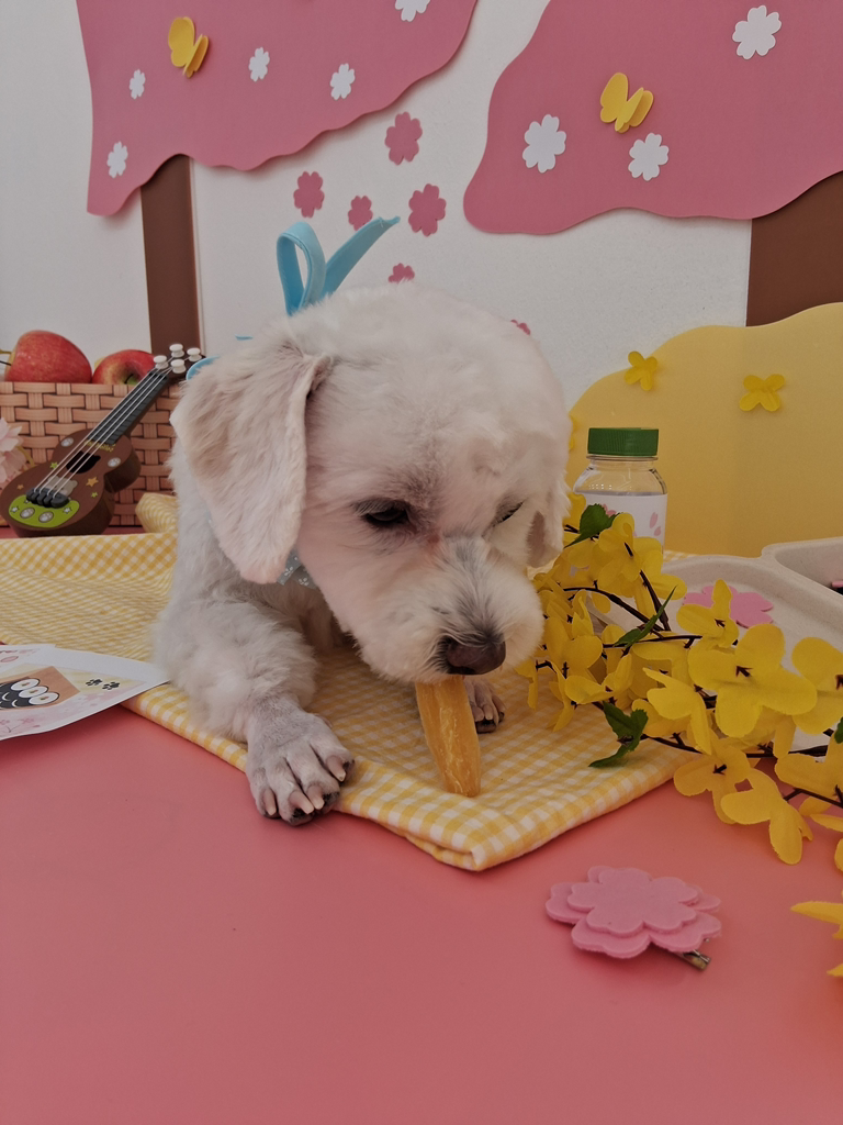 개등바디샵