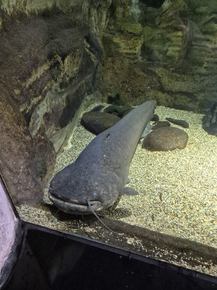 다누리아쿠아리움 이미지