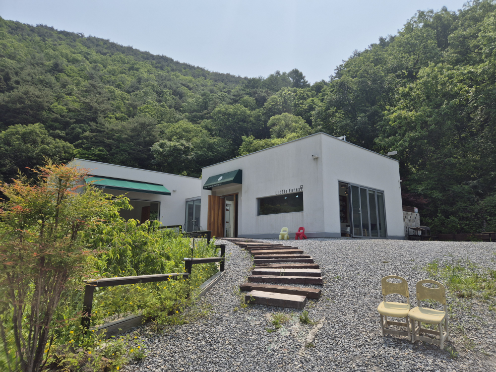 리틀포레스트 이미지