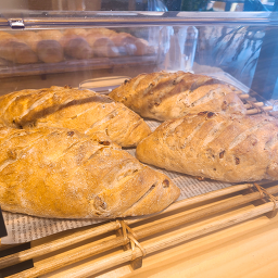 하이단양 하이디