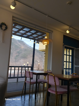 리버빈스 이미지