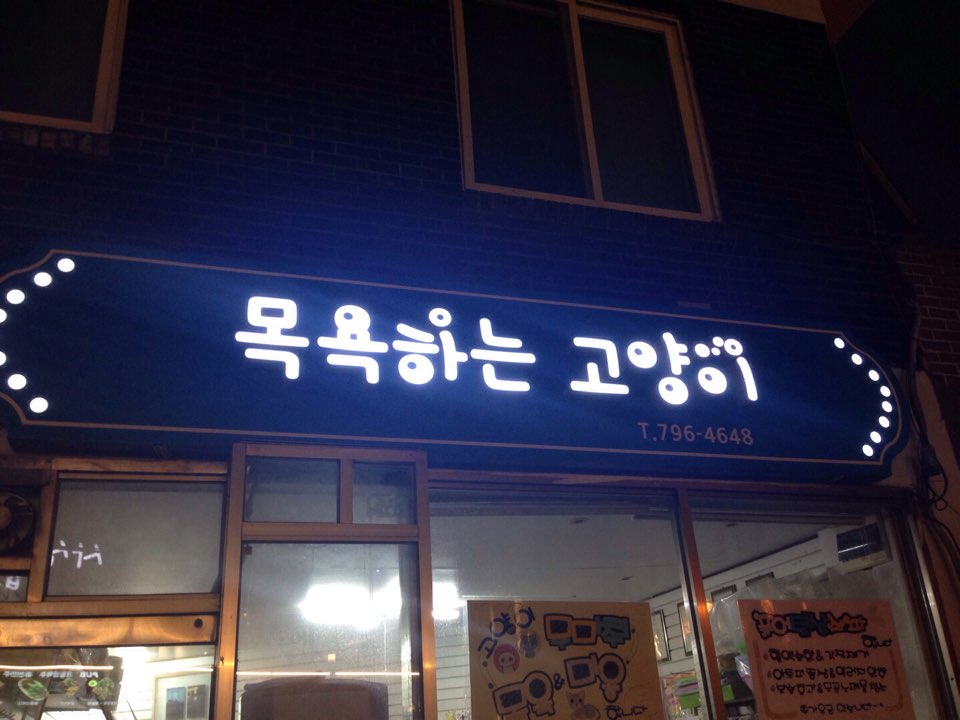 목욕하는 고양이