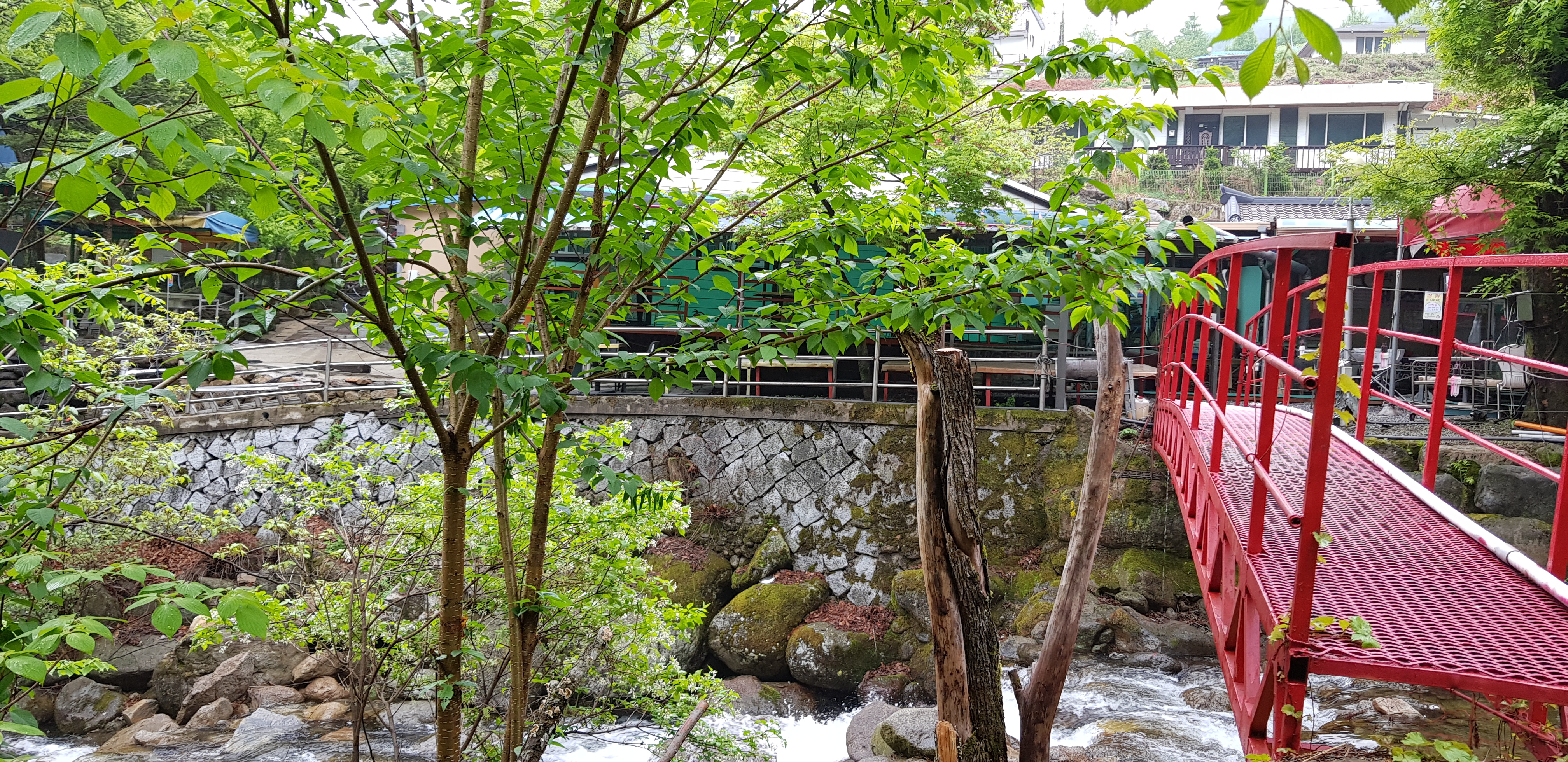 그린농원 이미지