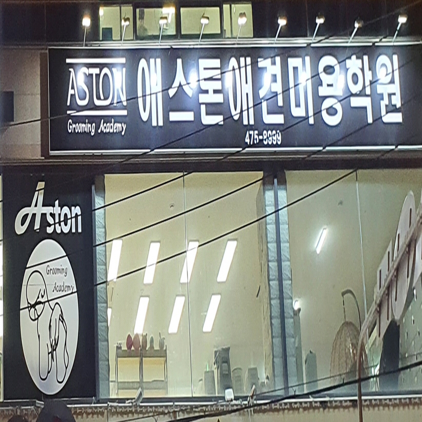 애스톤애견미용학원