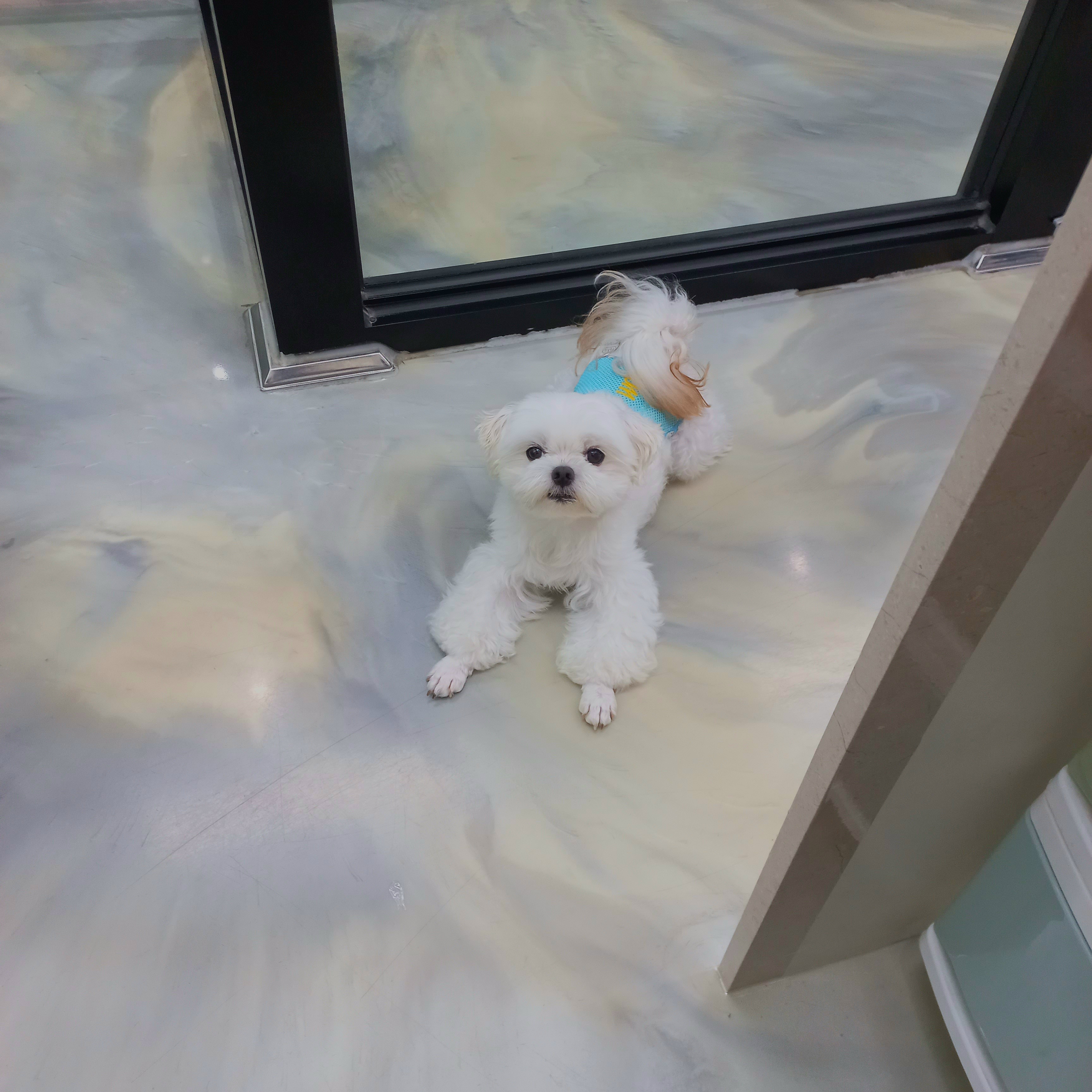 개편한세상