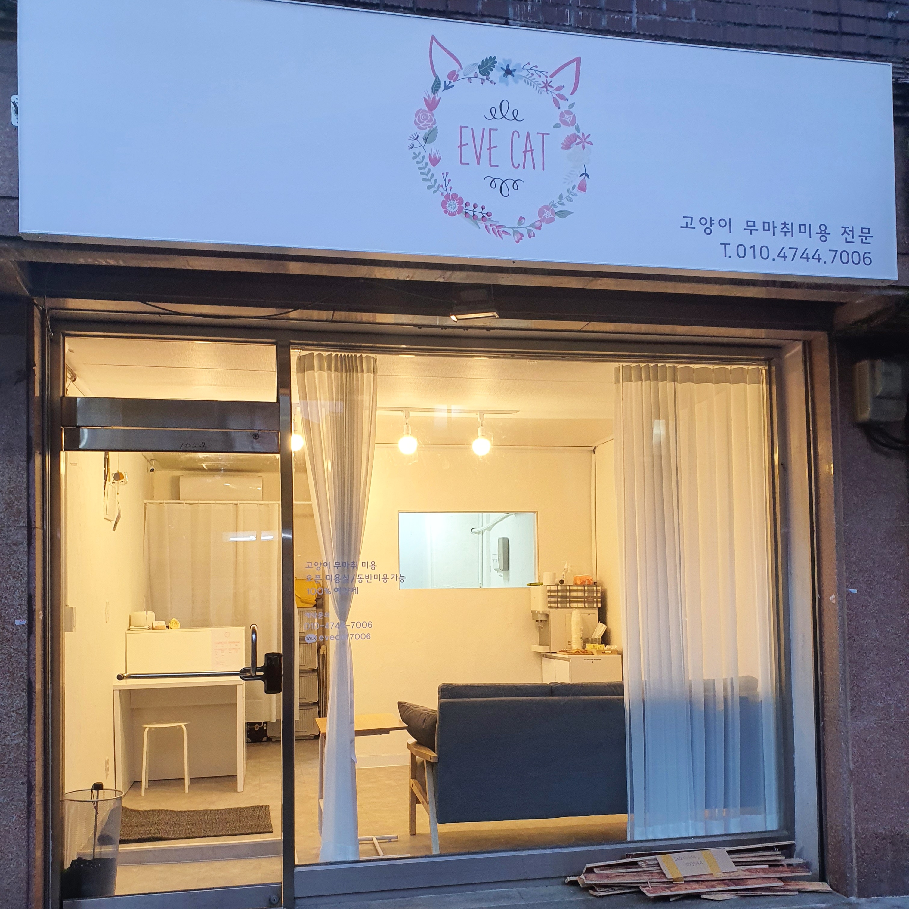 이브캣