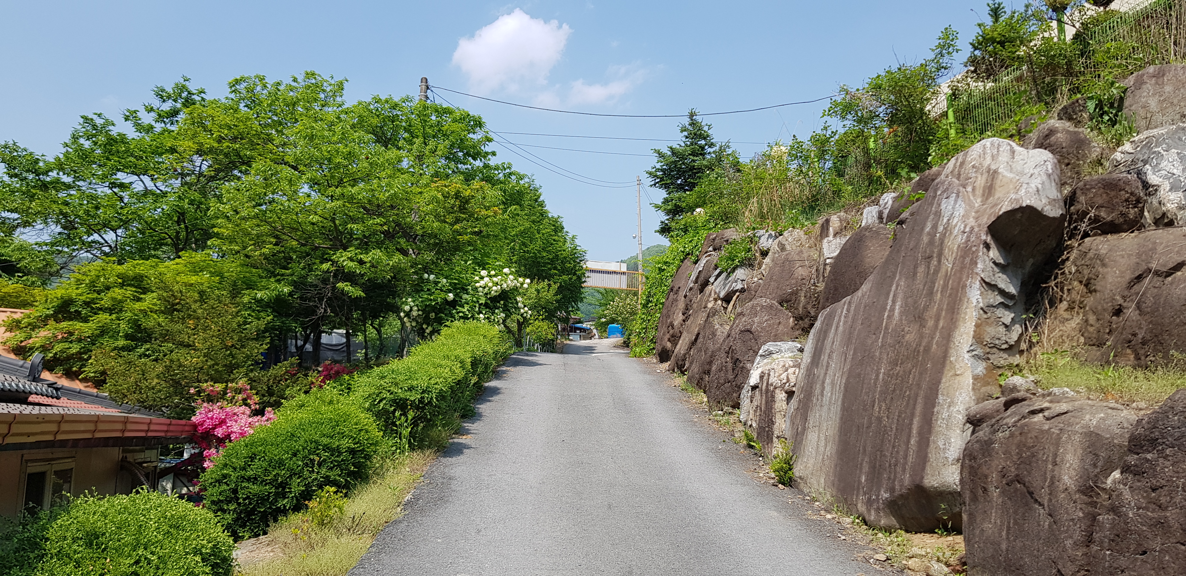 단양천동계곡캠핑장 그린농원 이미지