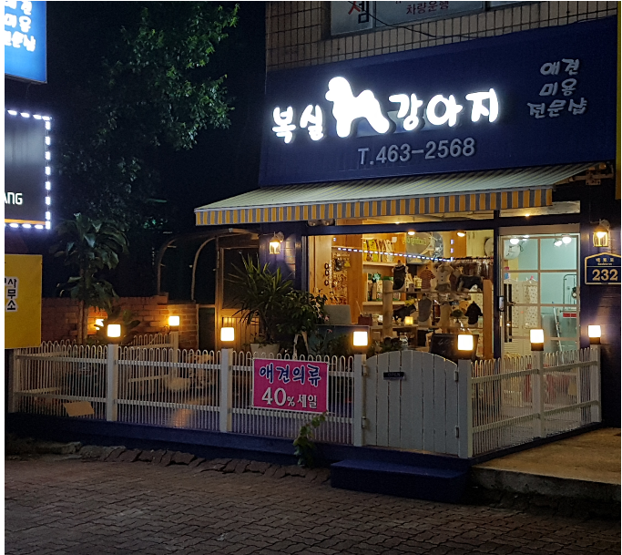 복실강아지
