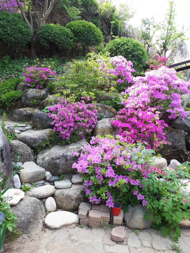 온달민박 이미지