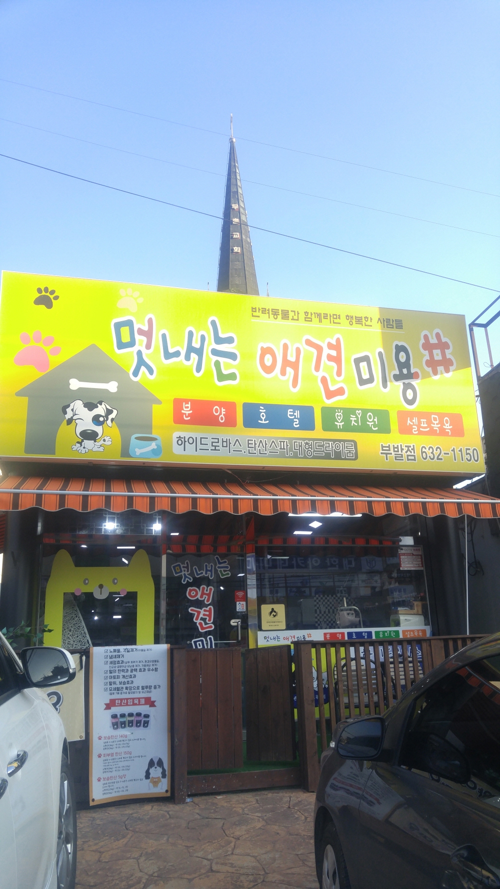 멋내는 애견