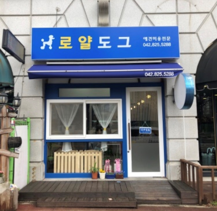 로얄도그