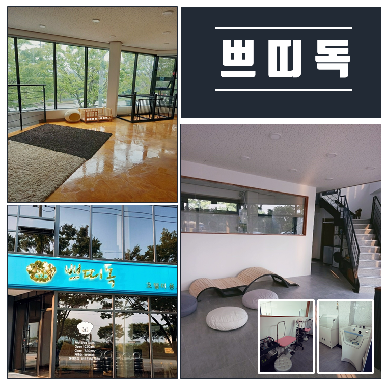 쁘띠독