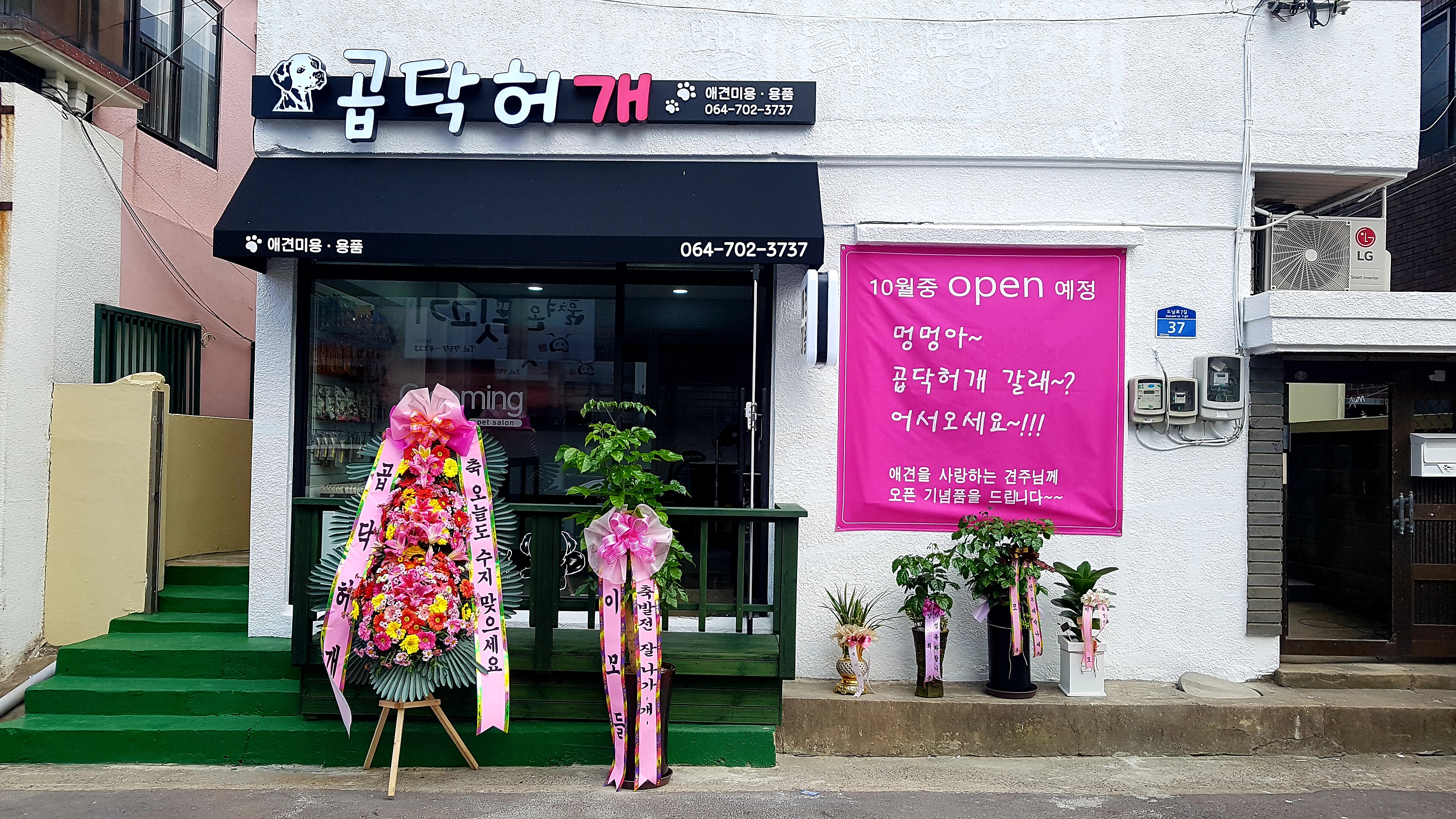 곱닥허개