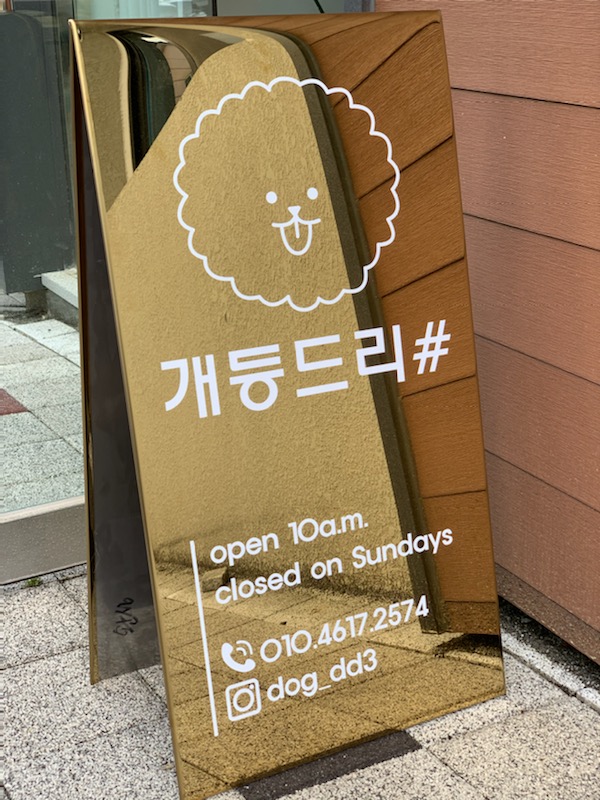 개등드리#