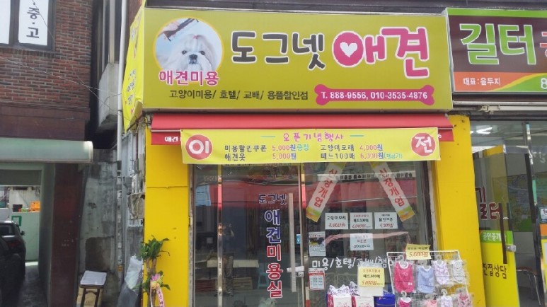 도그넷애견미용-고양이미용실